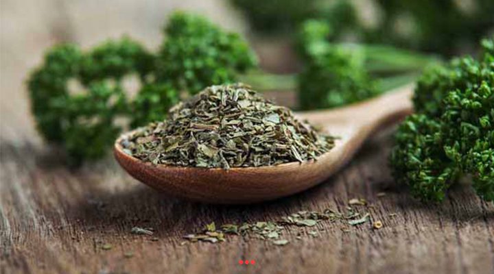 قیمت ترخون و مرزه خشک + خرید باور نکردنی